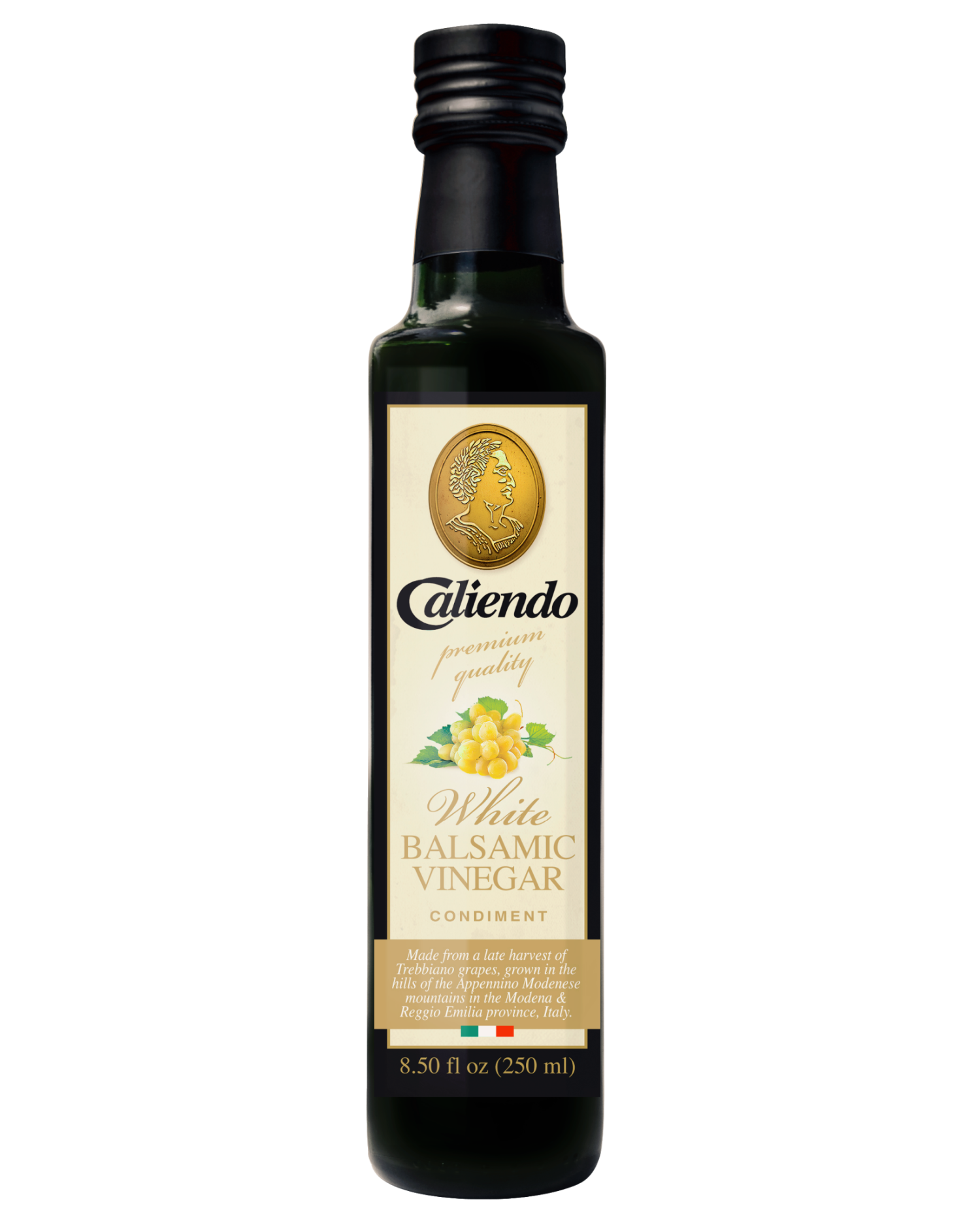 Caliendo Authentic Italian White Balsamic Vinegar of Modena 8.5 Fl Oz Glass Bottle